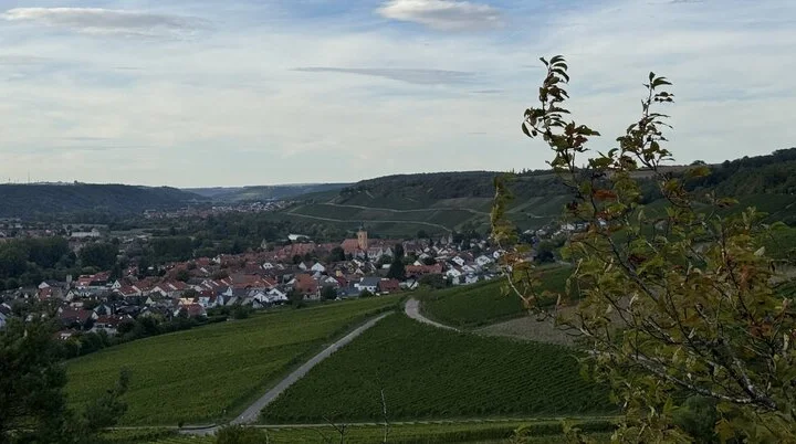 © Elisabeth Begert © Elisabeth Begert