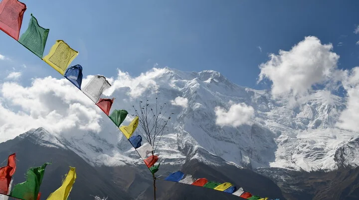 © Peter Meckler © Peter Meckler